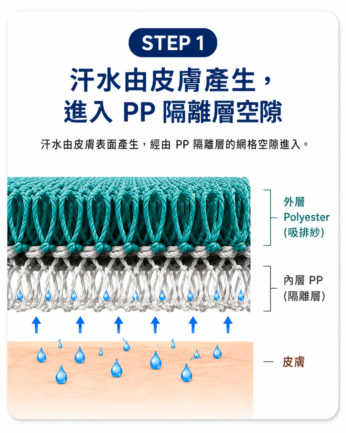 Step 1 汗水進入 PP 隔離層空隙